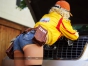 身材姣好胸型完美 《最终幻想15》Cindy COS美图