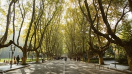 民国味道的南京，就在这四个地方