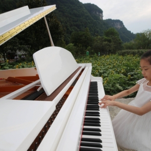 湖南张家界：花海田间飘琴韵