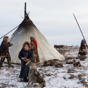 涅涅茨人——“冰上丝路”沿线的驯鹿牧民(组图)